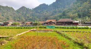 Nùng An homestay-Nùng ethnic group - Image 5