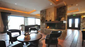 Setta Alonia - Image 3