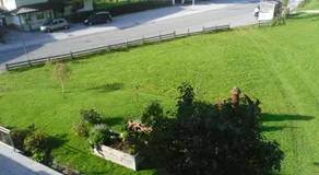 Grünwaldhof - Image 4