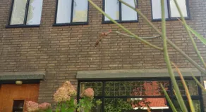 Eikenburg B&B - Image 4
