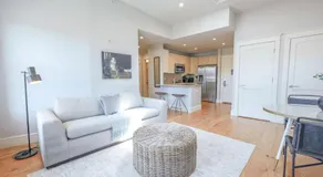 Light-Filled Back Bay 1 Bedroom Apartment - Image 5