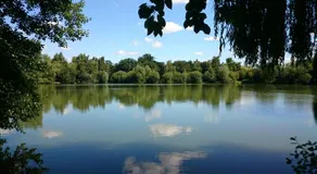 Woodland Waters - Image 4