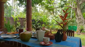 R&N Yellow House - Image 2