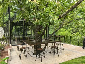 Yuyinchaping Hotel - Image 5