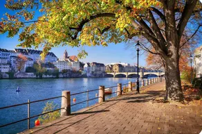 Basel-Stadt Gundeldingen_404 - Image 5