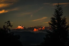 THC Ecostays Kausani - Image 5