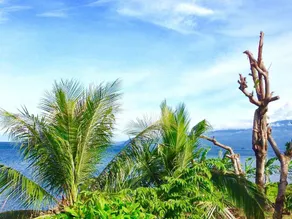 Bon Voyage Ticket Outlet & Homestay - Image 2