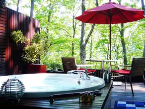 Hotel La Neige - Image 4