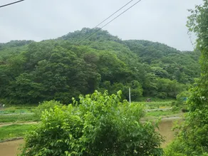 Wonju Bulbit House - Image 5