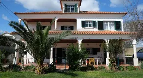 La Maison de la région Olive Trees / Lombo Island. - Image 4