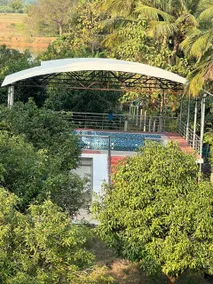 Mango ranch - Image 2