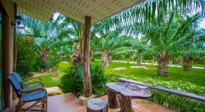 Palm Pran Resort - Image 4