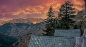 Nesta Narkanda Cottage, Rooms and Guided Treks - Image 4