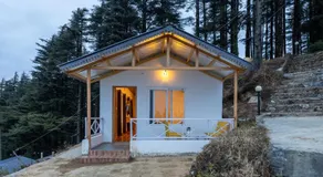 The Deodar Stays - Image 4