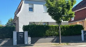 Le petit logelbach - Image 5