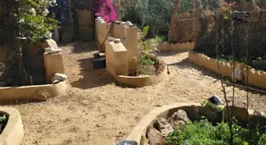 Siwa Gardenia Cottage - Image 4