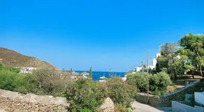 Limonletto - Image 5
