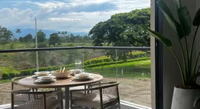 Tropicalia Home - Apartment - Image 2