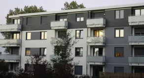 Sarni Stok - Image 5