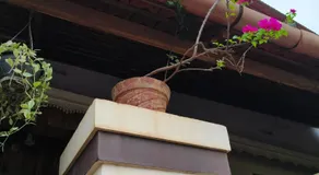 Ashirvad Homes - Image 3