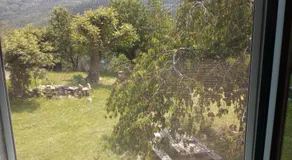 Ferme Racine - Image 4