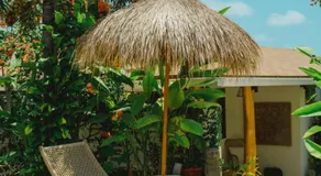 La Kreyiol - Image 5