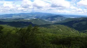 Platán Panzió - Image 4