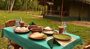 Jungle View River Camping - Image 5