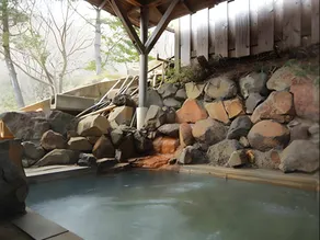 Ryokan New Otaka - Image 5