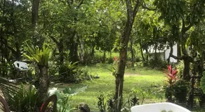 Balili Farm At Nacpan - Image 5