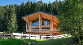 Schladminger Tauern Apartment - Image 3
