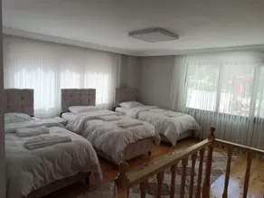 Erdoğan Apart - Image 2