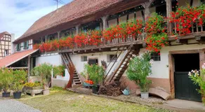 Chambres d'hôtes de charme à la ferme Freysz - Image 4