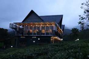 jungle view resort - Image 3