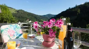 Steiert Panorama Apartments Todtnau - Image 3