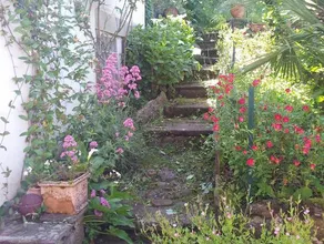 Chambres d'Hôtes Maison E.Bernat - Image 5
