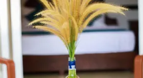 Amra Villa - Image 4