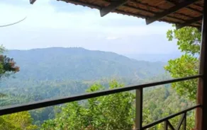 Coorg Misty Mountains Stay - Image 4