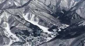 Vicino a Naeba Ski Resort e Fuji Rock - Image 3