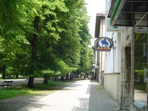 Penzion Alfa Poděbrady - Image 5
