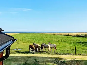 Seaside Serenity in Lyngsay-by Traum - Image 1