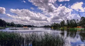 Cherry Blossom Cottage - Beechworth-Getaways - Image 5