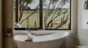 Longboarders Micro-Resort Phillip Island - Image 5