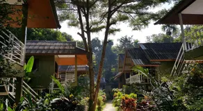 Khao Sok Jungle Huts Resort - Image 2