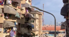 Simple gem in port said - Image 4