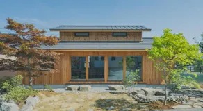 Peanuts Nest - Image 3