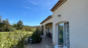 Le Pin d'Alep - Image 2