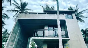 Patar Palms - Image 4