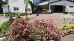 Ferienweingut-Liebfried - Image 2