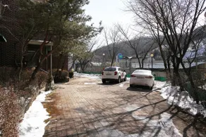 Pyeongchang Phoenix - Image 4
